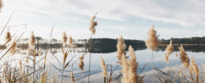 a lake